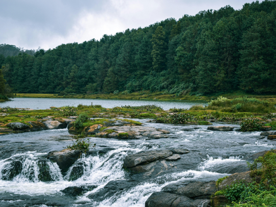 Mamallapuram Tour Package – Explore Ancient Wonders by the Sea (21)