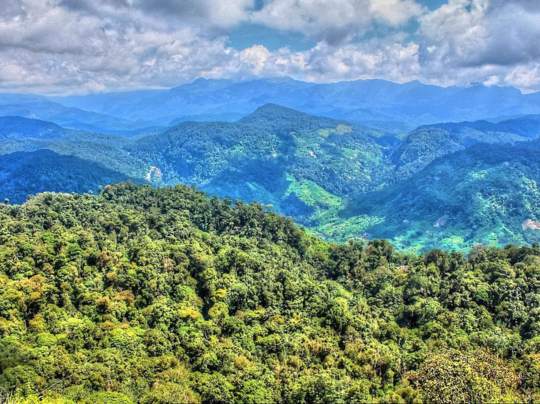 Mamallapuram Tour Package – Explore Ancient Wonders by the Sea (24)