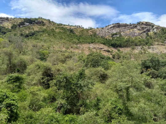 Mamallapuram Tour Package – Explore Ancient Wonders by the Sea (27)