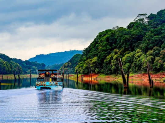 Untitled design - 2025-12-08T112951.647