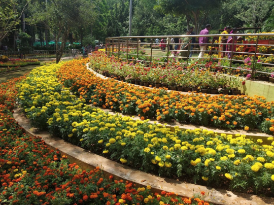 Untitled design - 2025-12-08T115048.821