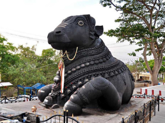 Untitled design - 2025-12-08T134223.419