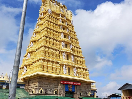 Untitled design - 2025-12-08T145553.097