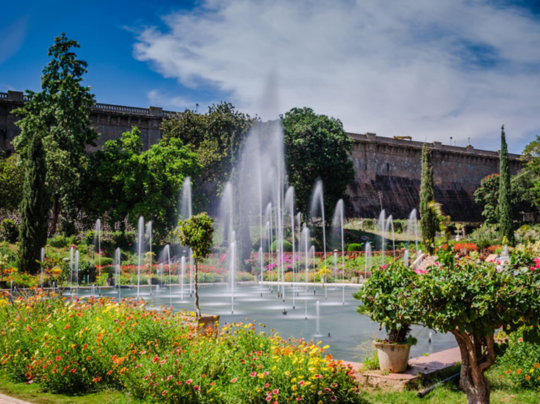 Untitled design - 2025-12-08T145613.429