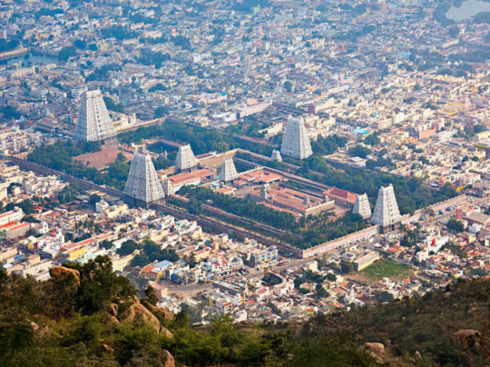 Untitled design - 2025-12-08T161202.977