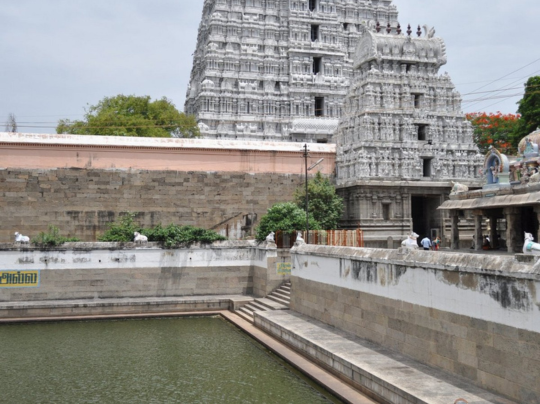 Untitled design - 2025-12-08T161218.917