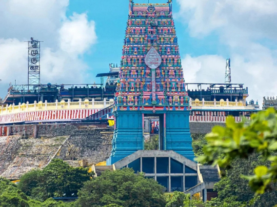 Untitled design - 2025-12-09T102246.431