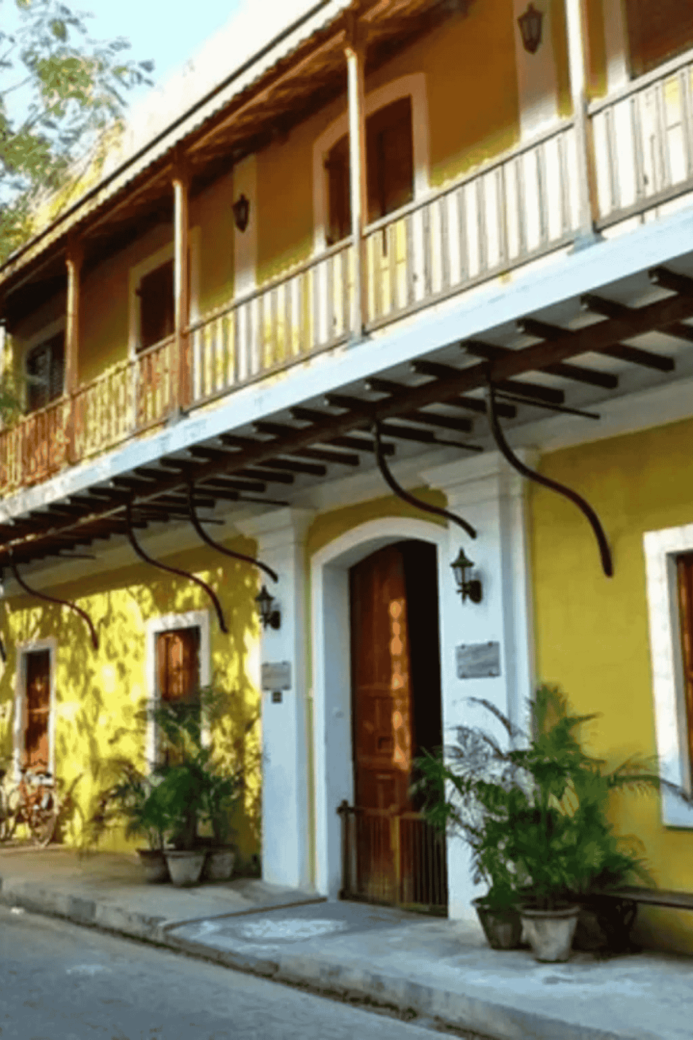 Untitled design (31)